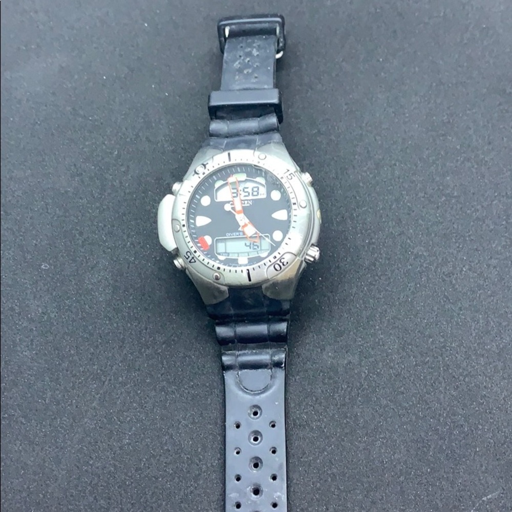 Citizens Men Divers Promaster watch